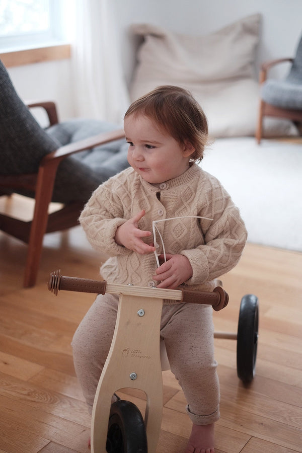 Transformable Toddler Balance Bike : The 2-In-1 Balance Bike for Kids - Little Treasures