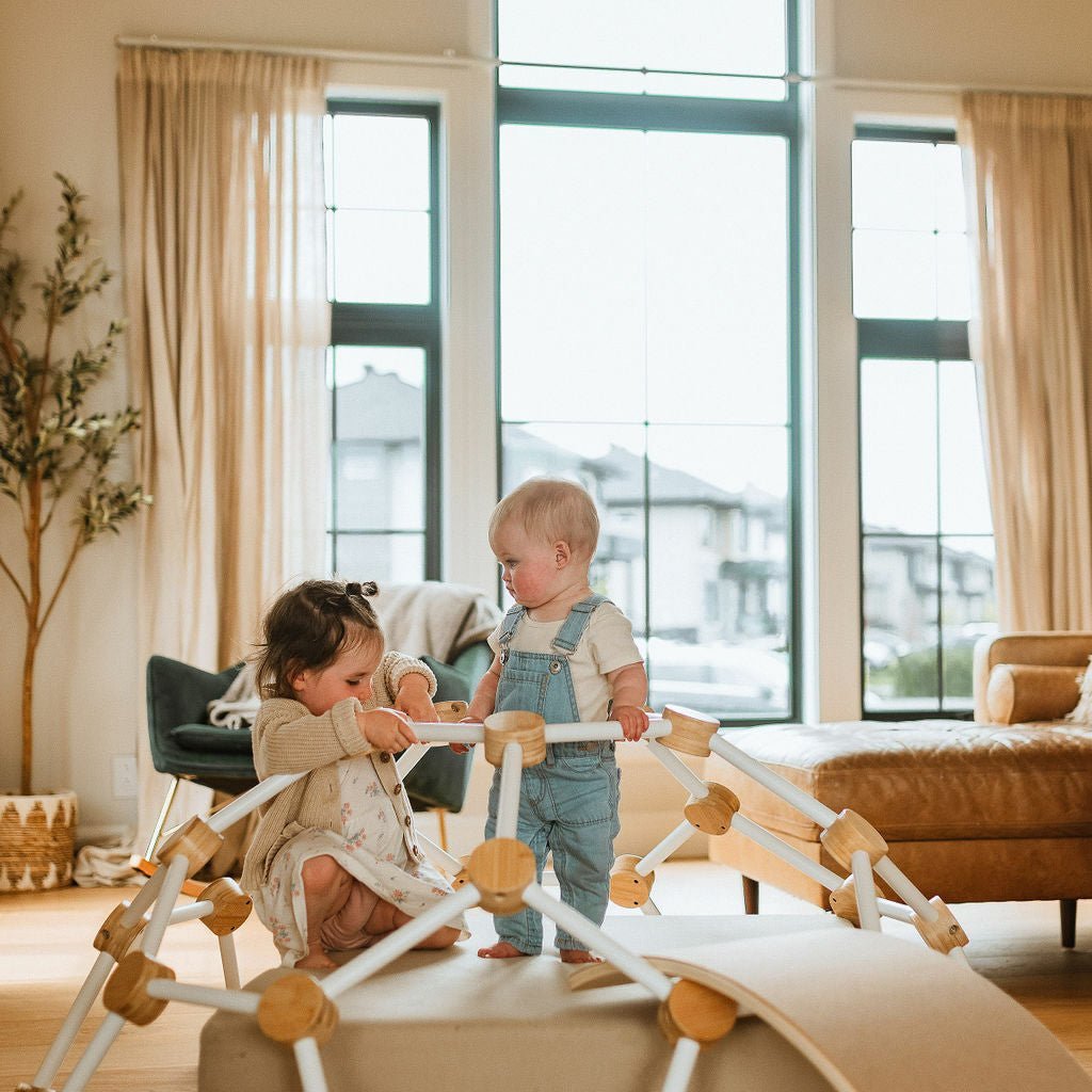 Climbing Dome - Toddler Climbing Toy - Little Treasures