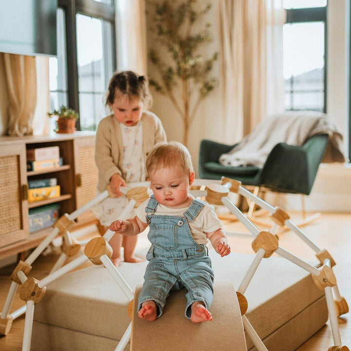 Climbing Dome - Toddler Climbing Toy - Little Treasures