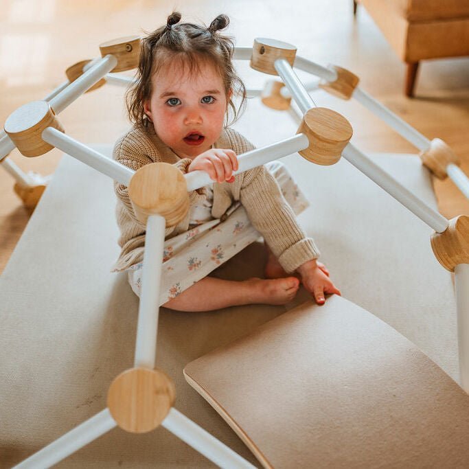 Climbing Dome - Toddler Climbing Toy - Little Treasures