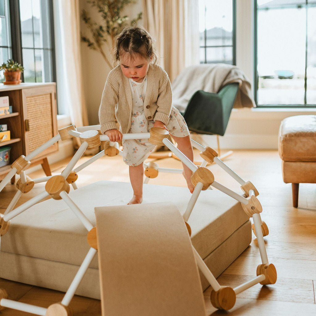 Climbing Dome - Toddler Climbing Toy - Little Treasures