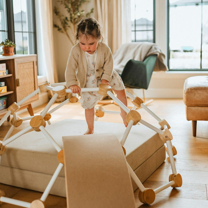Climbing Dome - Toddler Climbing Toy - Little Treasures