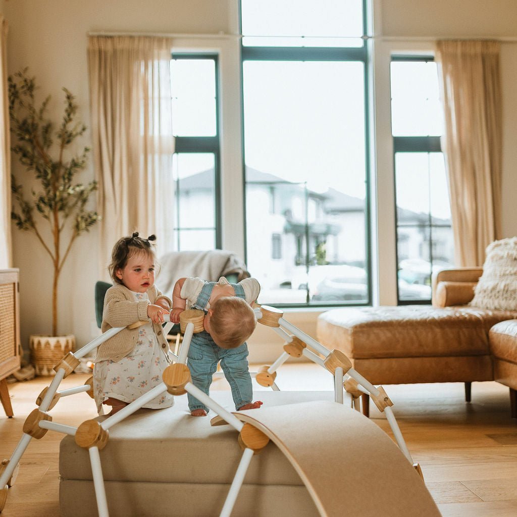 Climbing Dome - Toddler Climbing Toy - Little Treasures