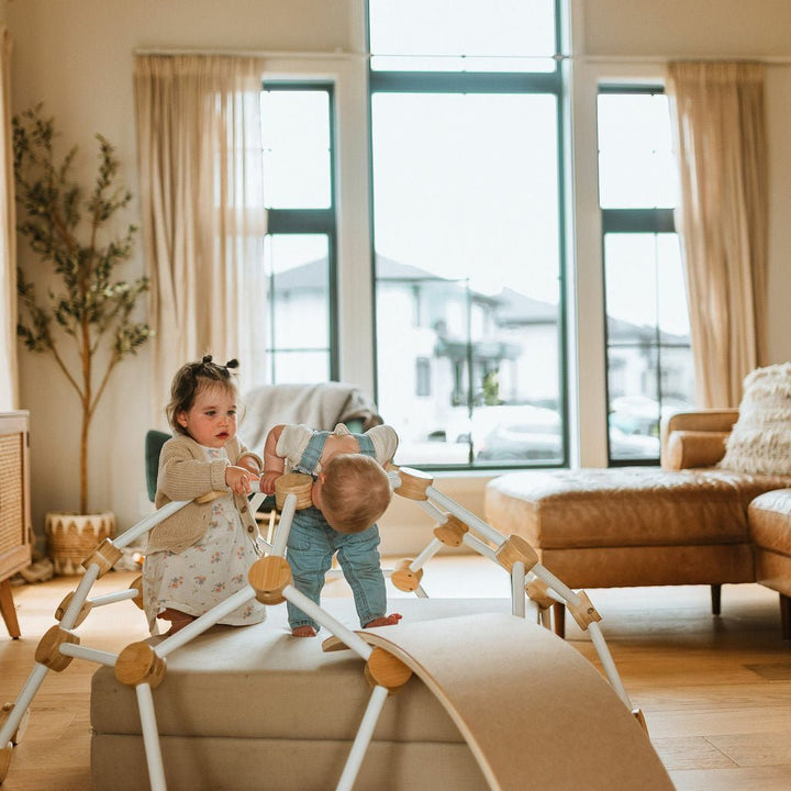 Climbing Dome - Toddler Climbing Toy - Little Treasures