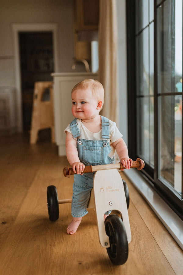 The 2-In-1 Balance Bike